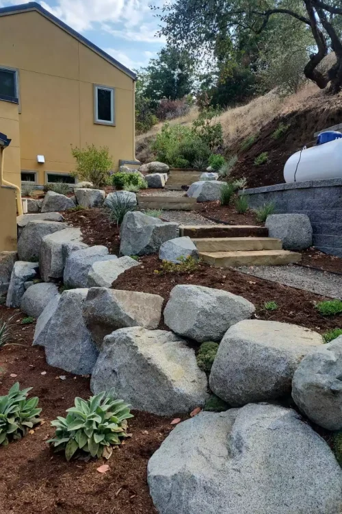 WhatsApp Image 2026-03-11 at 11.19.39