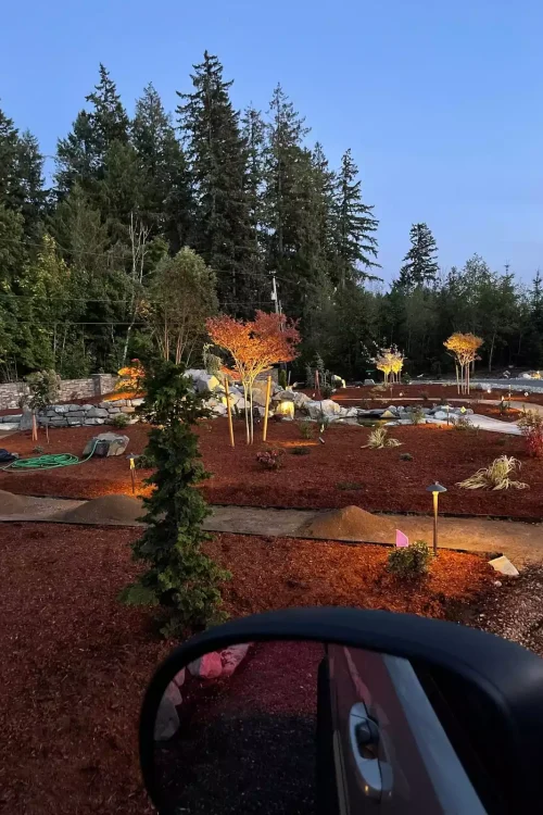 WhatsApp Image 2026-03-11 at 11.19.43