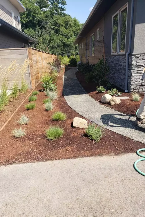 WhatsApp Image 2026-03-11 at 11.19.47