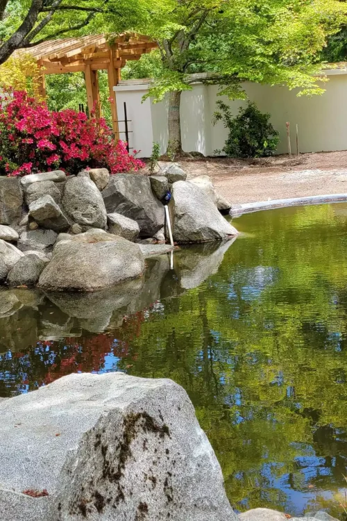 WhatsApp Image 2026-03-11 at 11.19.51