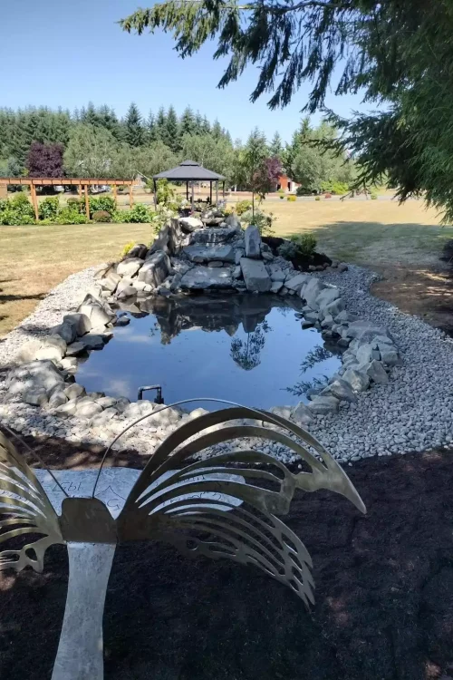 WhatsApp Image 2026-03-11 at 11.20.00